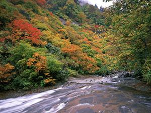静岡市清水区に位置する東横INN静岡清水駅前の魅力と詳細情報