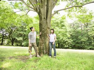 都心でくつろげるハリネズミカフェ