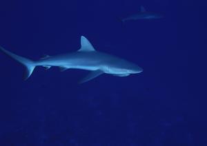 東京駅から徒歩3分！ コストパフォーマンス抜群のビジネスホテル「東横INN東京駅八重洲北口」の紹介