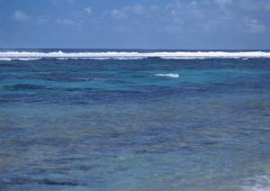 愛知県一宮市の快適ビジネスホテル｜東横INN名古屋尾張一宮駅前の魅力と施設情報