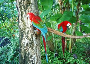 郡山駅から徒歩7分！快適な滞在を約束する東横INN郡山の魅力と店舗情報