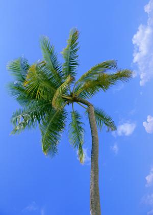 貴重な工芸体験を行える金沢市の会社