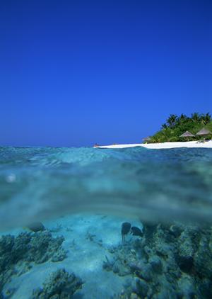 別府温泉 竹と椿のお宿 花べっぷ – 究極の癒しの体験