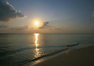 【完全ガイド】東横INN昭島駅南口の魅力と利用ポイント｜東京都昭島市の便利なビジネスホテル