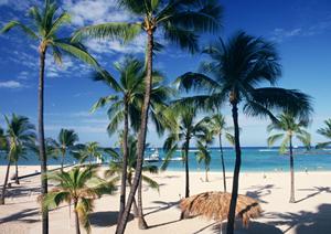 山形駅西口から徒歩4分！東横INN山形駅西口の魅力と快適なホテルステイの全て