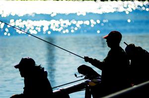 静岡のシティホテル直営レストランで楽しむ絶品西洋料理と季節のコースメニュー